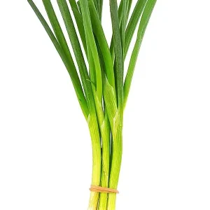 Green Onion (each)