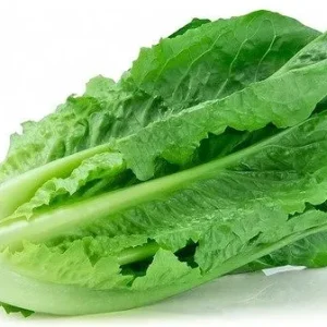 Romaine Lettuce (each)